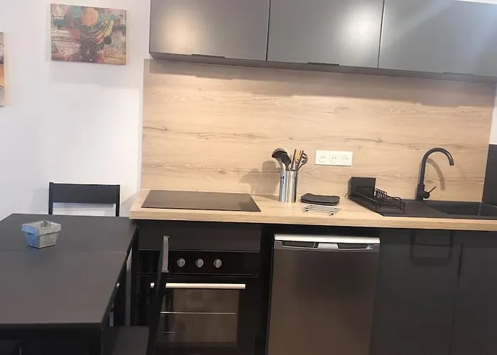 Confortable En Plein Centre 公寓 梅斯